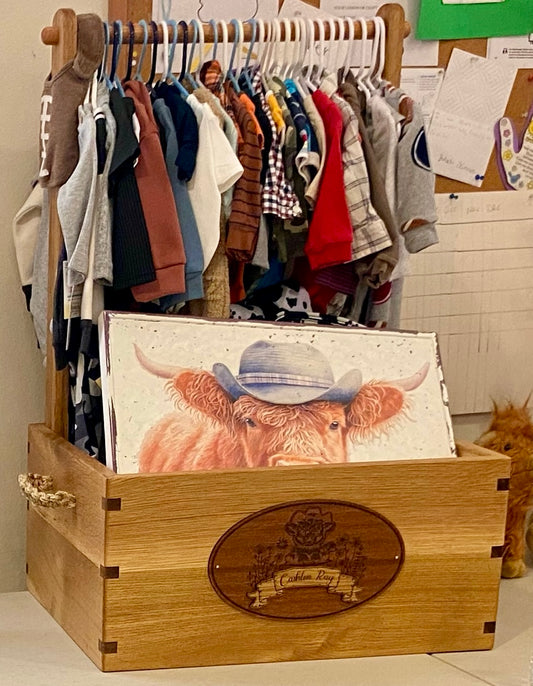 Toy box/ Chest - baby gifts